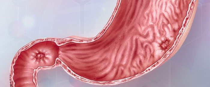 Gastrointestinal Bleeding: Types, Challenges and Endoscopic Management - Webinar